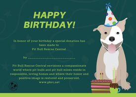 pit bull birthday post card