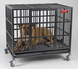pitbull cages and kennels